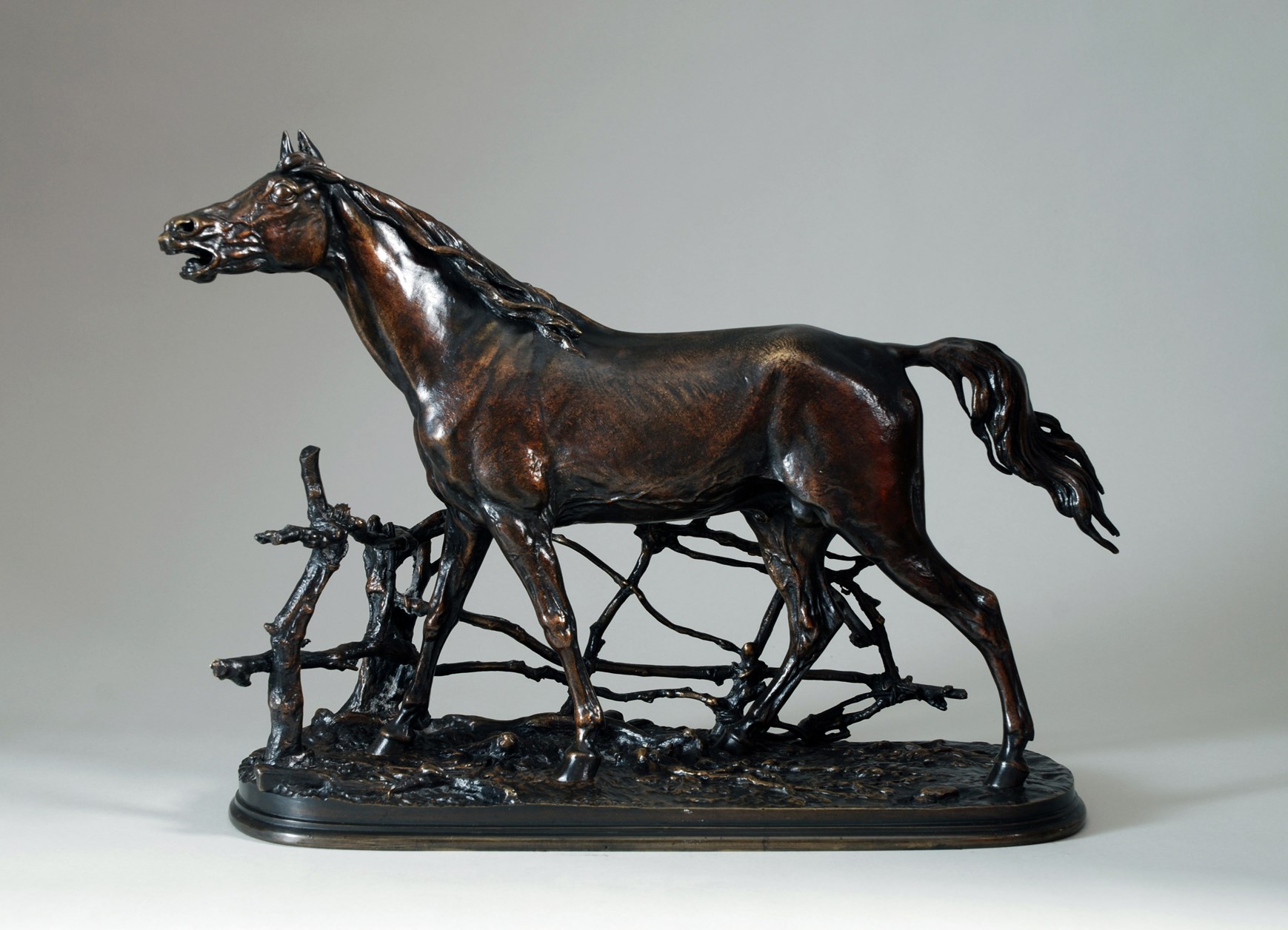 DJINN  étalon barbe (1846)
or " Cheval à la barrière" (Salon de 1849 )
